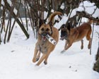 Running together