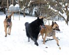 Running together