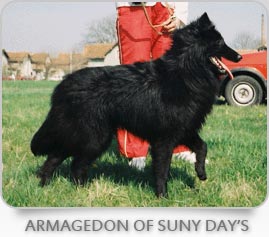 Armagedon Suny Day's