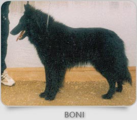 Boni