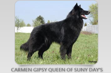 Carmen Gipsy Queen of Suny Day's