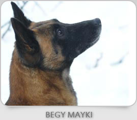 Begy Mayki